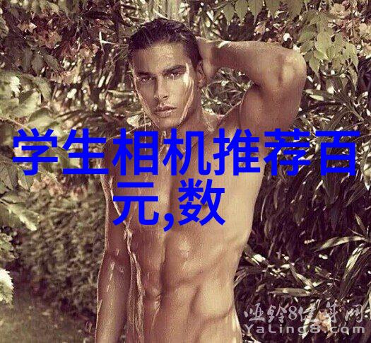 小型蒸汽发生器能否让家用生活更加高效
