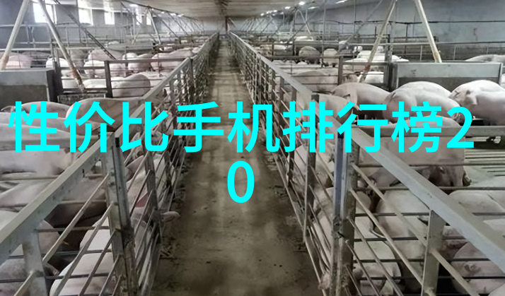 农村进门客厅装修图我家客厅从简陋到美观的奇妙变迁