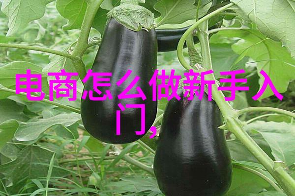 tjh25型高效波纹规整填料我的工作伙伴如何让它更上一层楼