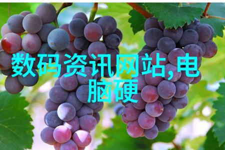 膜分离原理高效液相分离技术