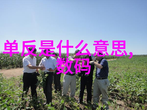 杀虫公司收费标准解析了解预算前行