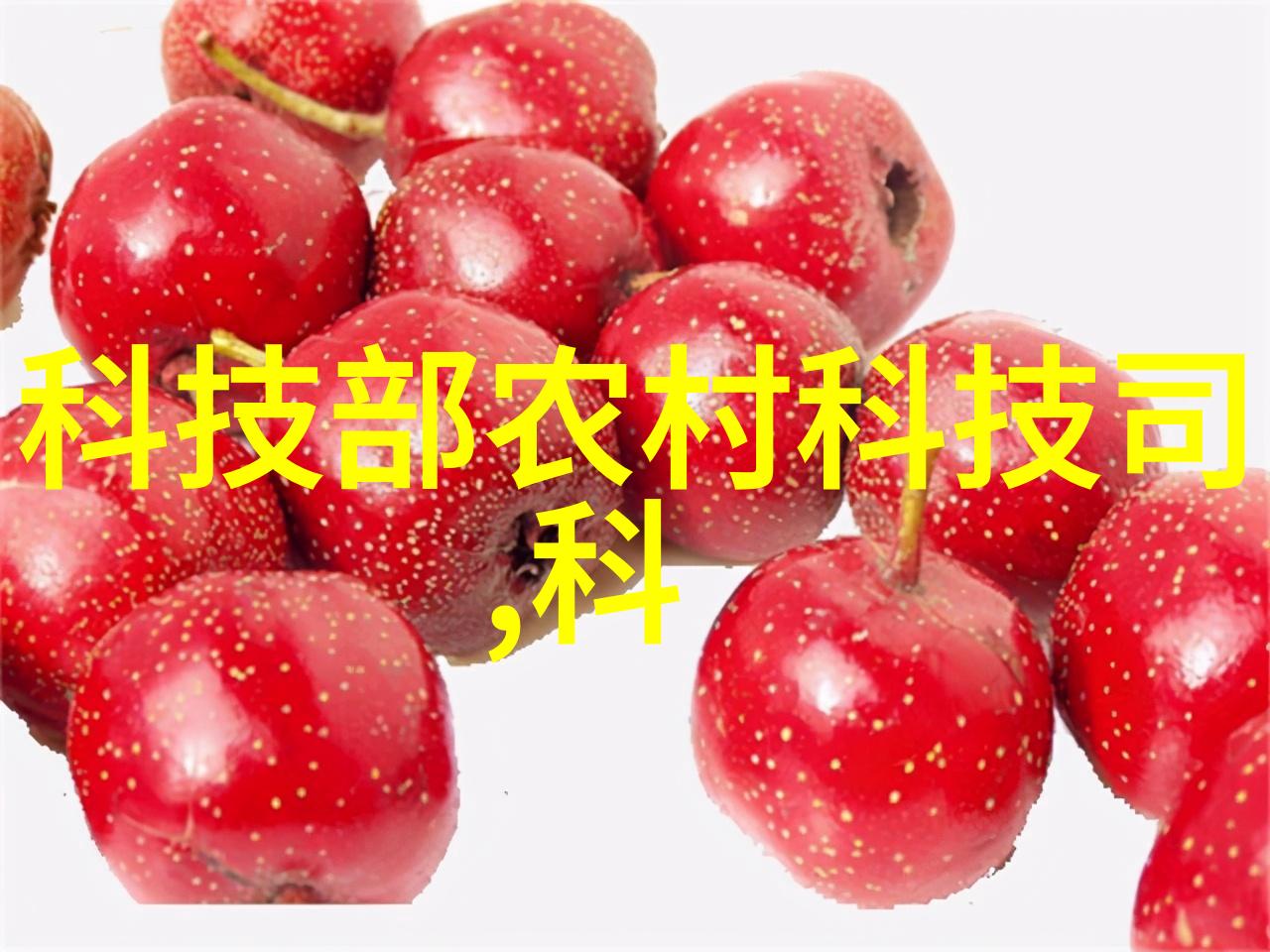 乡村客厅的温馨装饰将自然之美带入家中