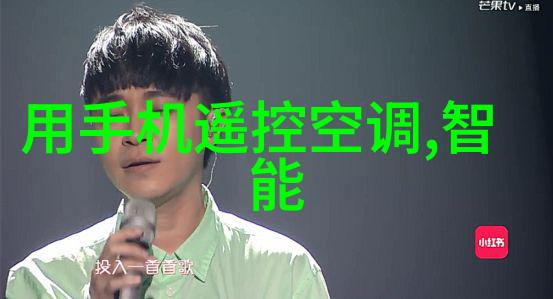乡村自主建造中的客厅隔断创意与实用并存的家居设计