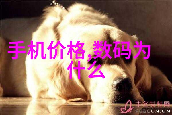 书房装修指南创造个人知识海洋的空间