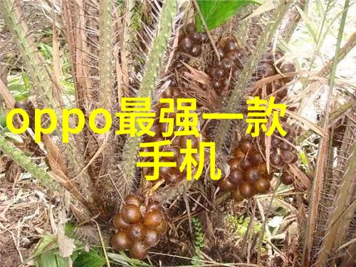 星辰之下暗夜之光星闪技术的双面刃