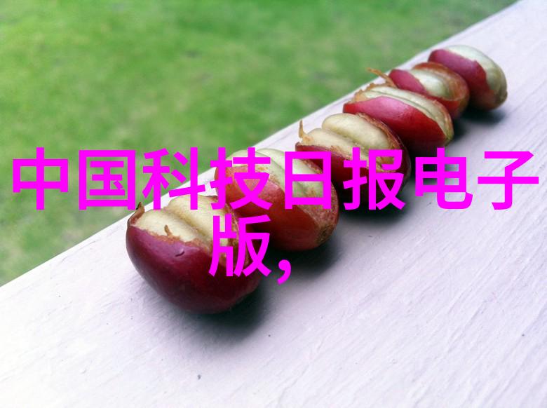 清洁环境下的精密控制探索卫生级隔膜阀的技术与应用