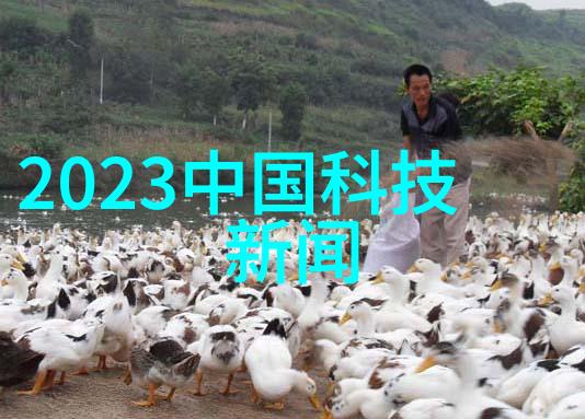 货车配件批发市场夜幕下的秘密交易