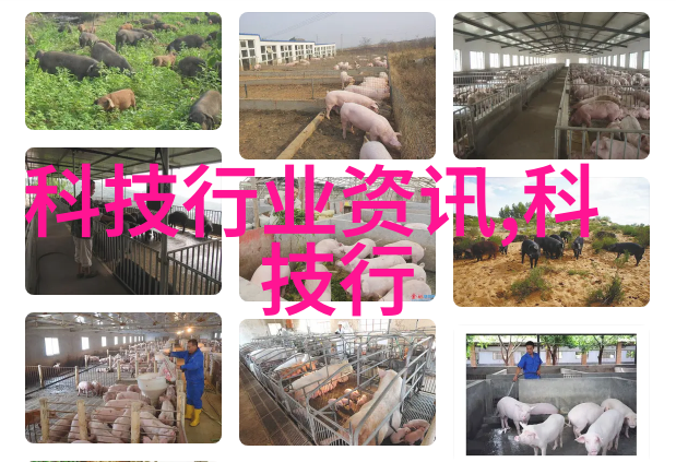 工程奇迹尘埃消散的守护者
