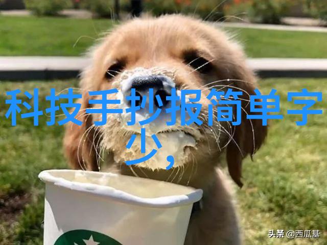 卫生间门口做屏风图片-浴室隐私屏障创意空间解决方案