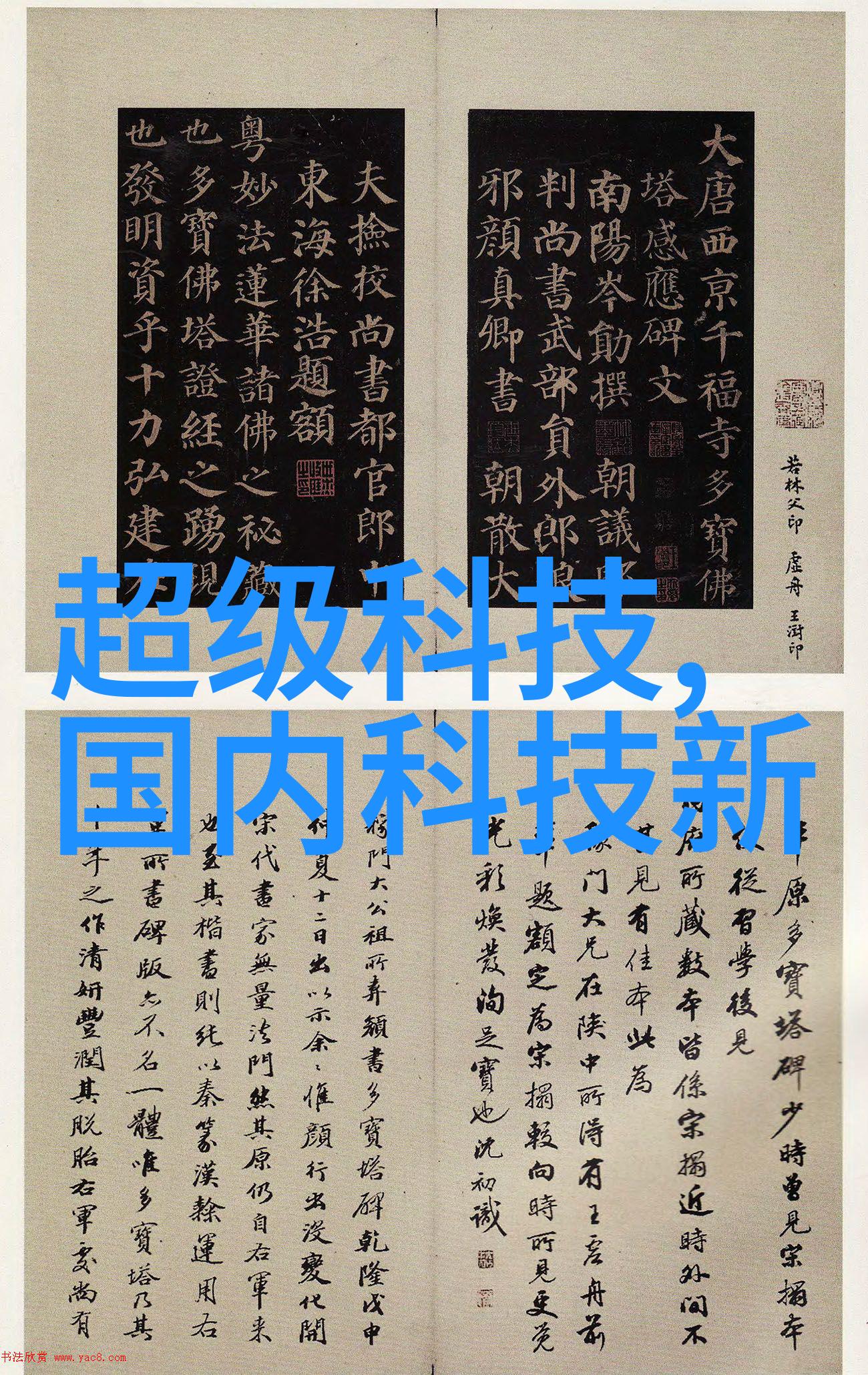 寂寞杏花红绽放的孤独与热情