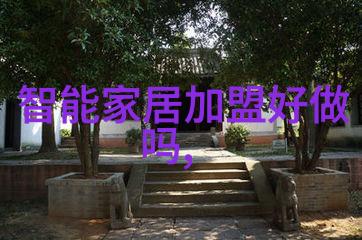 除了刷牙外还有什么其他方式可以帮助清洁和保养我们的磨齿板呢