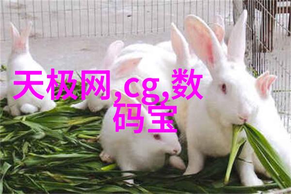 房子背后的秘密装修之谜