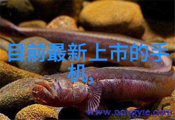 中国人民银行官定利率调整周期央行利率变动频率