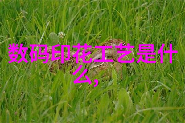 选择合适的室内消毒喷雾哪种消毒液效果最佳
