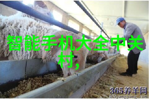 追溯每一个细节解读一张关于手工制作金属装饰板的图片背后信息流程