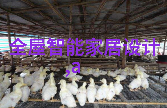 离心萃取器我是如何用它来制作美味果汁的