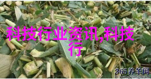 化工包装检测设备确保产品质量与安全的关键