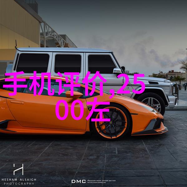 玫瑰花的花语背后隐藏着什么样的故事