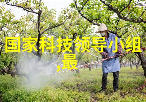 家具新颜探索喷漆房的艺术与科技