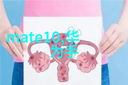 高效能轴流泵设计要点解析