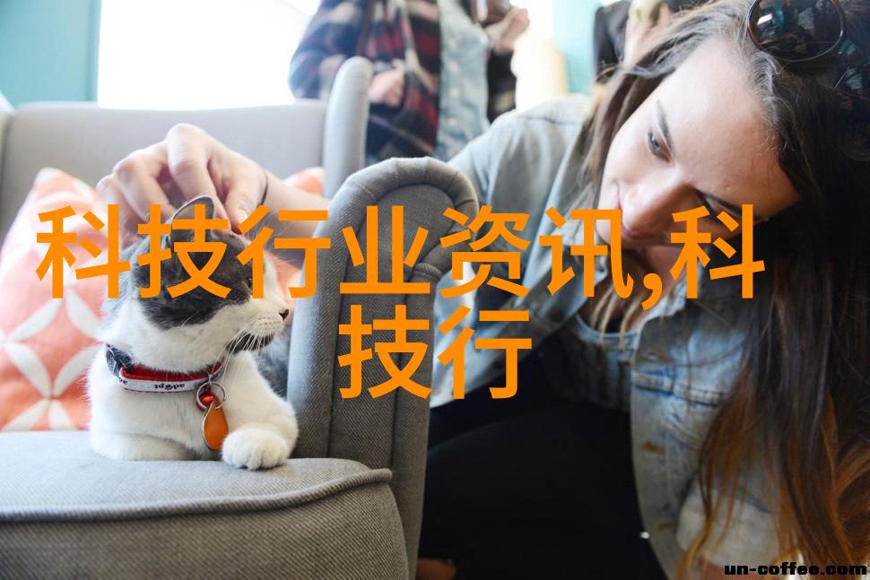 泥瓦木工-筑梦之手泥瓦木工的艺术与挑战