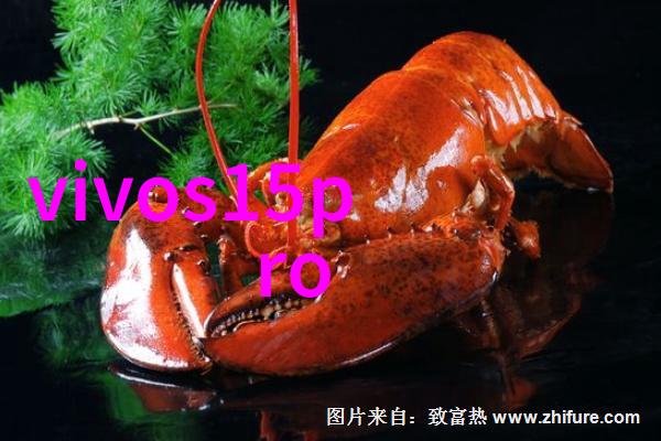 铜铝破碎分离机我的小金子大铝的好朋友