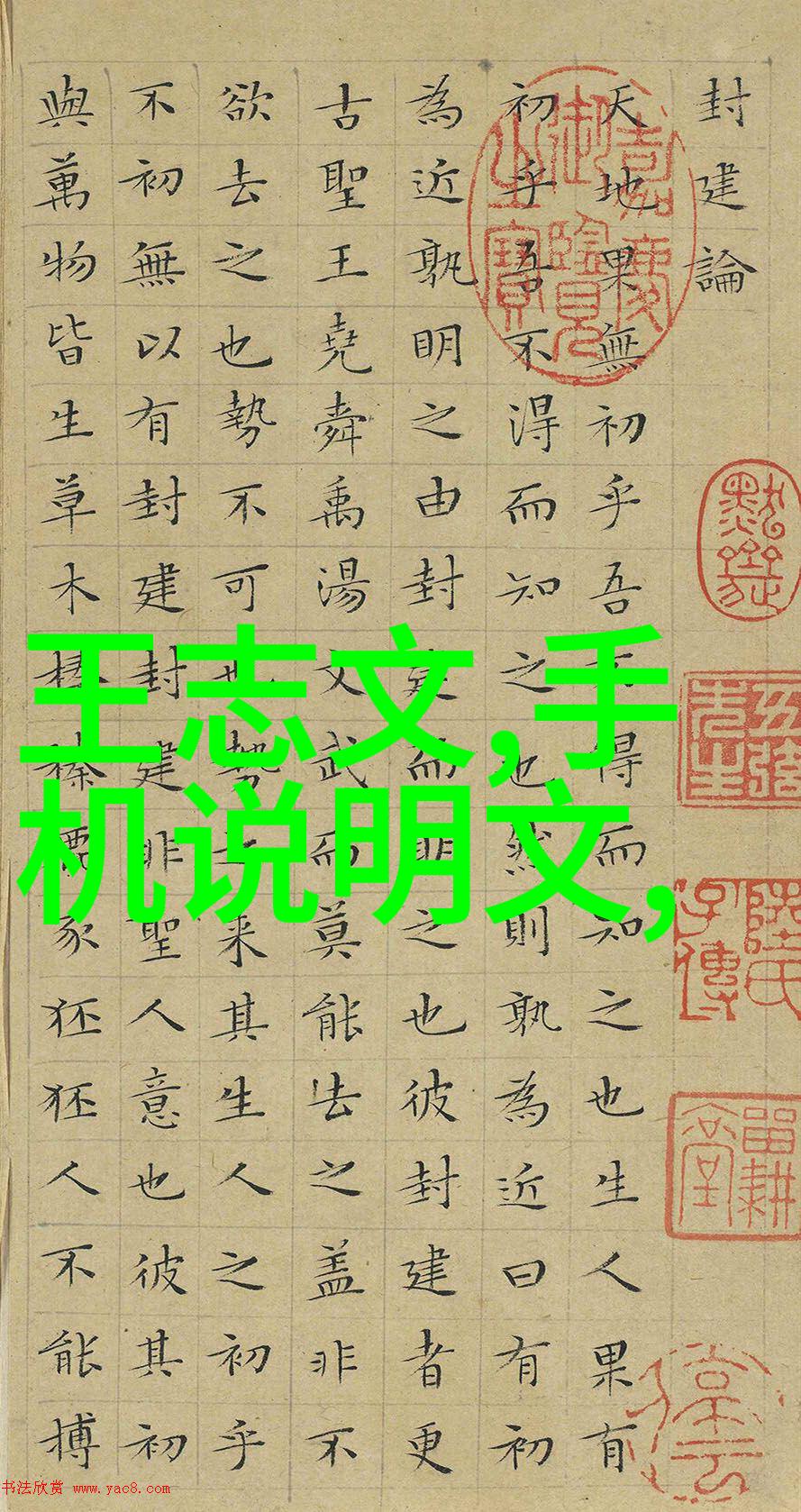 应用领域广泛的不锈钢斜管填料解决方案