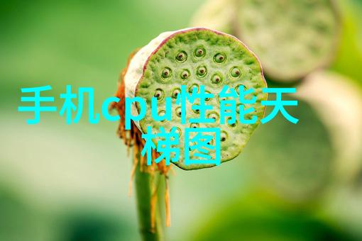 我遭遇的骗局tds笔被骗了真相如何