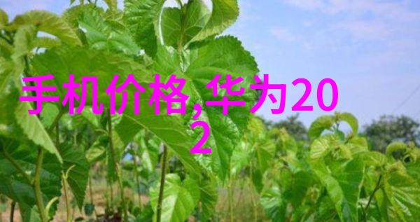 上海装修设计公司专业室内外装饰规划