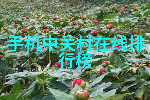 山影初见一位女游者的青春足迹