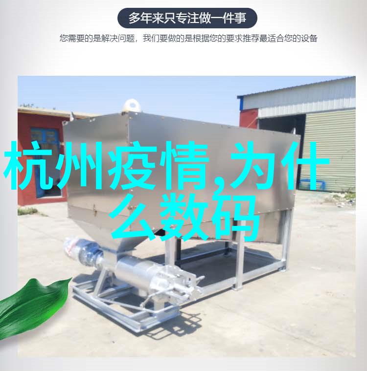 钙站之谜揭开202GGY的秘密