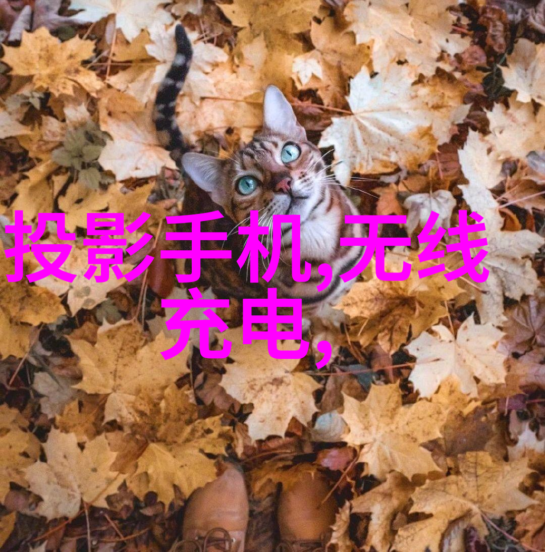 不锈钢管材在建筑工程中的应用实例分析
