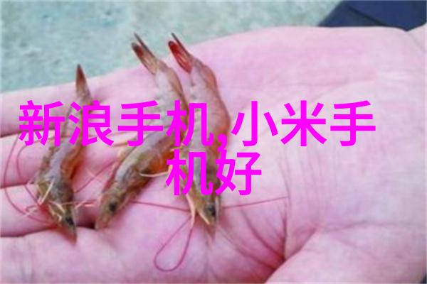 北大青鸟职业技术学院翱翔知识的学府