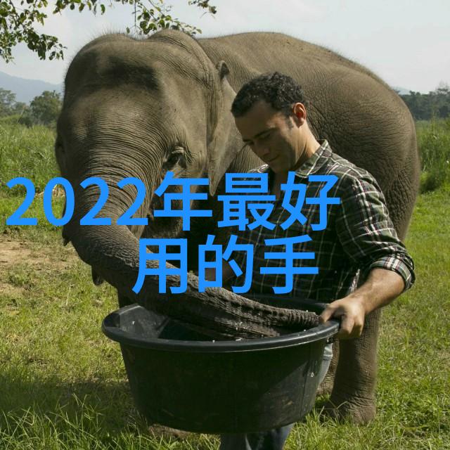 智能化生活新篇章揭秘最新小家电的魅力与实用性