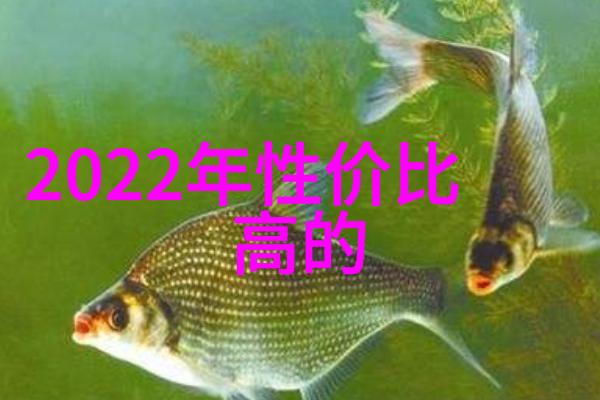 包衣机械的创新与应用