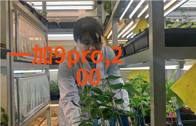 实验室深夜成都的未知声音