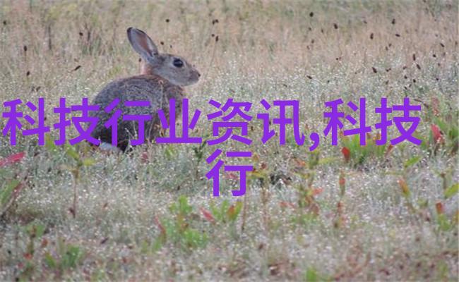 大众在西班牙投700亿推动电动汽车与电池产业发展促进社会可持续能源开关转型