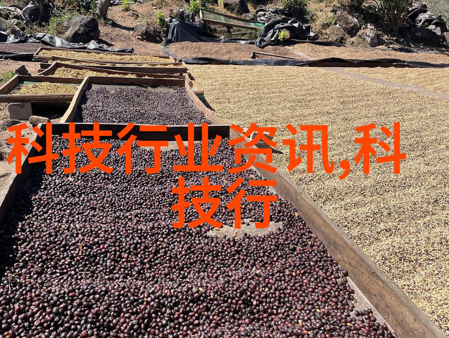 抱着公主走一步撞一下视频网红美妆博主日常生活