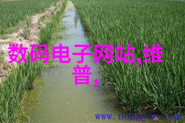 搅拌站食品加工的关键设备