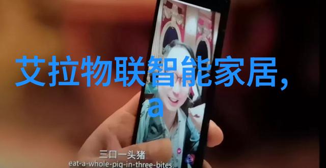 填料网的运作机制与应用前景