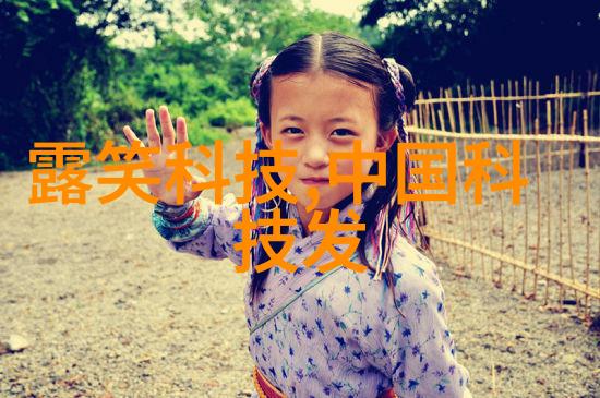 古典装修设计时光荏苒的韵味回响