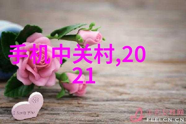 管道大侦探揭秘PVC与PPR的江湖差异