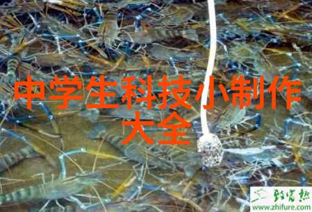 欧美ZC0O人与善交的最新奇幻冒险欧美ZC0O人的魔法交友之旅