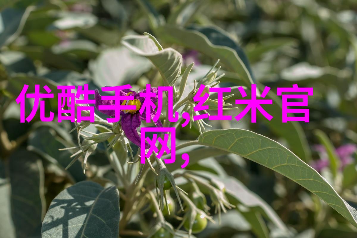 自来水质量检测标准确保每一滴清澈自来水的安全健康