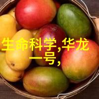 上海应用技术大学位于上海市的具体行政区划是哪里