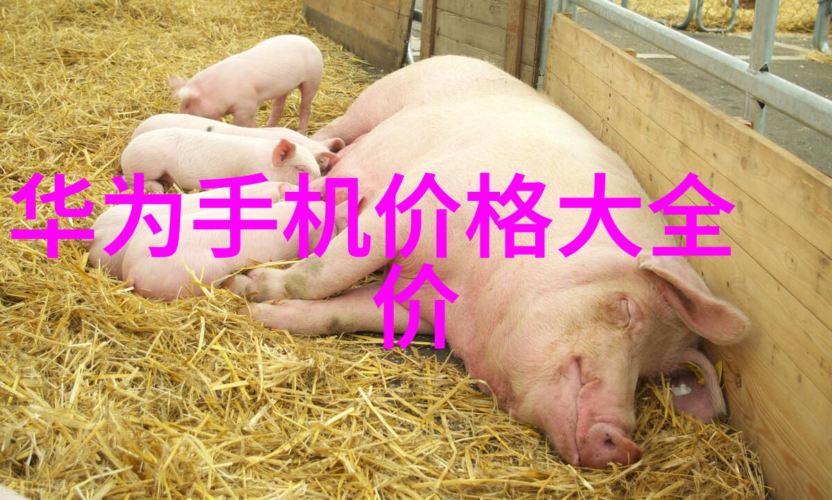 施工现场临时用电安全管理与实施指南