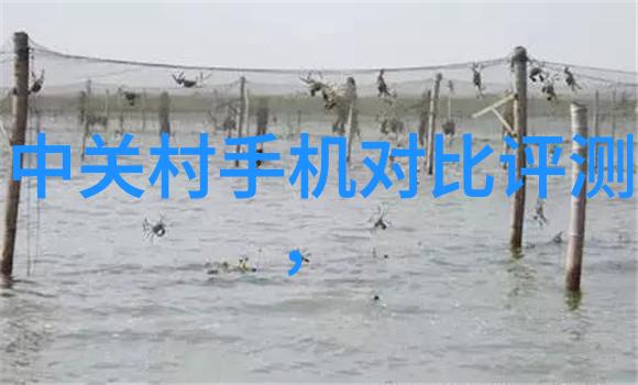 在全球供应链紧张的情况下国产化对芯片设计意味着什么