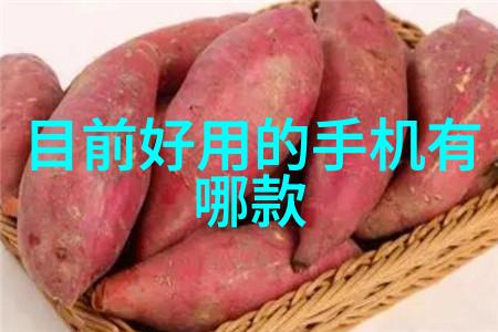 室内装修设计图的审美与功能性平衡研究基于用户体验的视觉和心理效应分析