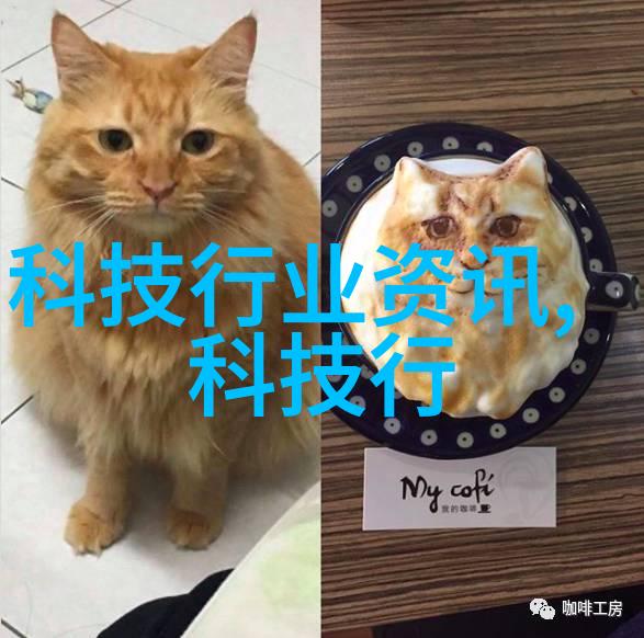 等离子灭菌器高效杀菌新技术的引领者
