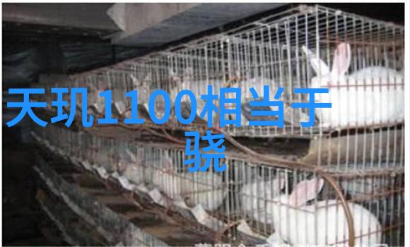 A股市场今日走势中国股票市场的最新动态